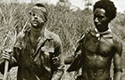 131706_kokoda140.jpg